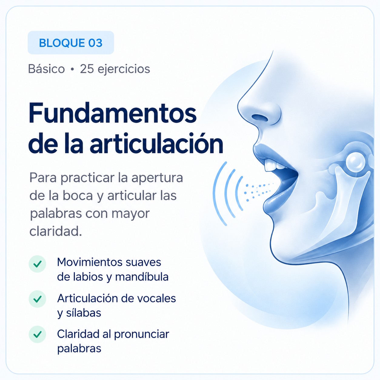 Bloque 03: Fundamentos de la articulación